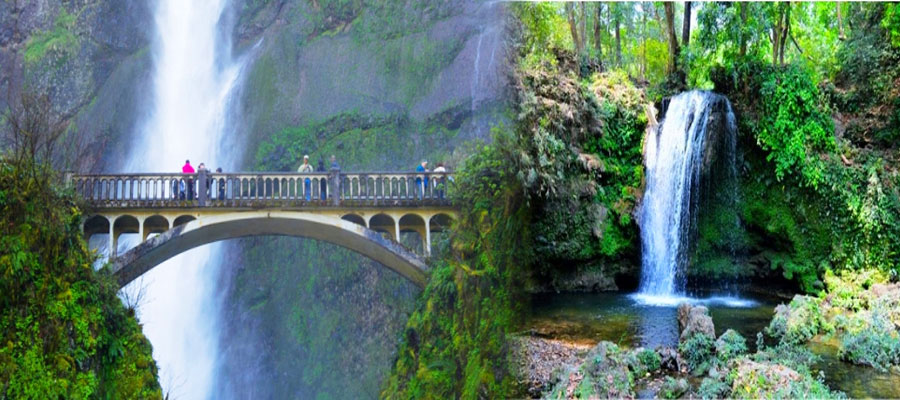 Hidden Gems Around Jim Corbett You Shouldn't Miss