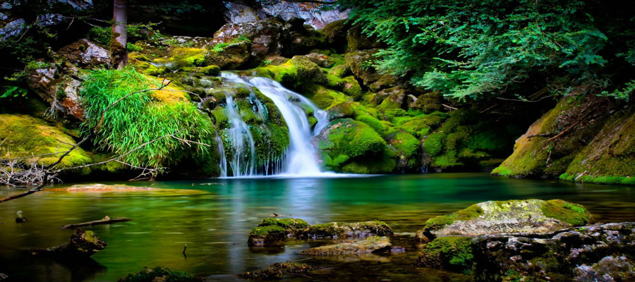 Reconnect with Nature: Stress-Free Vacations in Corbett