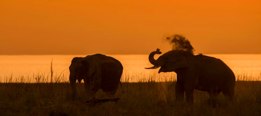 Why Jim Corbett is a Photographer's Dream Destination